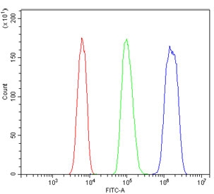 Flow cytometry testing of fixed and permeabilized human HL60 cells with MCM2 antibody at 1ug/million cells (blocked with goat sera); Red=cells alone, Green=isotype control, Blue= MCM2 antibody.