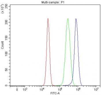Flow cytometry testing of human HepG2 cells with NDUFA1 antibody at 1ug/million cells (blocked with goat sera); Red=cells alone, Green=isotype control, Blue= NDUFA1 antibody.