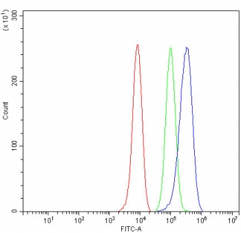 ALDH1A1 Antibody Human HepG2 Cell FACS. Flow cytometry testing of fixed and permeabilized human HepG2 cells with ALDH1A1 antibody at 1ug/million cells (blocked with goat sera); Red=cells alone, Green=isotype control, Blue= ALDH1A1 antibody.