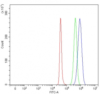 Flow cytometry testing of fixed human SH-SY5Y cells with TNR antibody at 1ug/million cells (blocked with goat sera); Red=cells alone, Green=isotype control, Blue= TNR antibody.