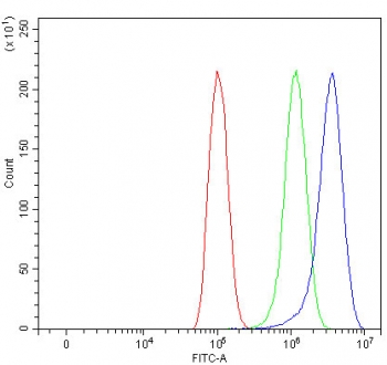 Flow cytometry testing of fixed and permeabilized human PC-3 cells with SDHA antibody at 1ug/million cells (blocked with goat sera); Red=cells alone, Green=isotype control, Blue= SDHA antibody.