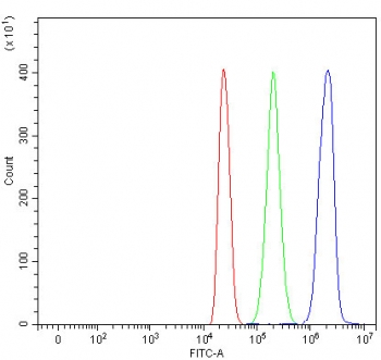 Flow cytometry testing of fixed and permeabilized human HL60 cells with SIP antibody at 1ug/million cells (blocked with goat sera); Red=cells alone, Green=isotype control, Blue= SIP antibody.