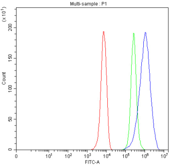 DPYD Antibody HepG2 Cells FACS. Flow cytometric analysis of fixed and permeabilized human HepG2 cells was performed using DPYD antibody at 1 ug per million cells following blocking with goat sera. DPYD, also known as Dihydropyrimidine Dehydrogenase and a Pyrimidine Metabolism Enzyme, catalyzes the rate limiting step in pyrimidine catabolism and plays a critical role in fluoropyrimidine drug metabolism. Red histogram: cells alone. Green histogram: isotype control. Blue histogram: DPYD antibody. The pronounced rightward shift of the DPYD antibody signal relative to the controls demonstrates specific detection of endogenous DPYD expression in HepG2 cells. These results support the utility of DPYD Antibody for studies of nucleotide metabolism, pharmacogenomics, and cancer biology.