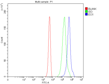 Flow cytometry analysis of fixed and permeabilized human 293T cells with DCI antibody at 1ug/million cells (blocked with goat sera); Red=cells alone, Green=isotype control, Blue= DCI antibody.