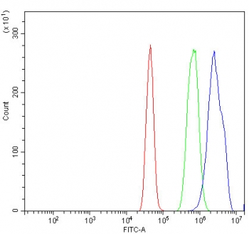 Aryl Hydrocarbon Receptor Antibody A431 Cells FACS. Flow cytometric analysis of human A431 cells was performed using an Aryl Hydrocarbon Receptor antibody at 1 ug per million cells following blocking with goat sera. AHR, also known as an Environmental Sensor Protein, is a ligand activated transcription factor that mediates cellular responses to xenobiotics, microbial metabolites, and endogenous signaling molecules. Red histogram: cells alone. Green histogram: isotype control. Blue histogram: Aryl Hydrocarbon Receptor antibody. The pronounced rightward shift of the AHR antibody signal relative to the controls demonstrates specific detection of endogenous AHR expression in A431 cells. These results support the utility of AHR Antibody for studies of toxicology, immune regulation, environmental sensing, and signal transduction pathways.