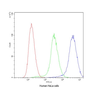 Flow cytometry testing of human HeLa cells with NM23 antibody at 1ug/10^6 cells (blocked with goat sera); Red=cells alone, Green=isotype control, Blue= NM23 antibody.