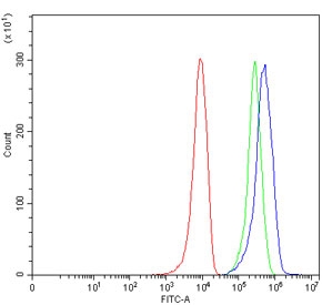 Flow cytometry testing of human 293T cells with Splicing factor 1 antibody at 1ug/million cells (blocked with goat sera); Red=cells alone, Green=isotype control, Blue= Splicing factor 1 antibody.