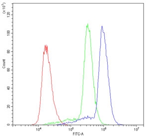 Flow cytometry testing of human U937 cells with ASIC3 antibody at 1ug/10^6 cells (blocked with goat sera); Red=cells alone, Green=isotype control, Blue= ASIC3 antibody.