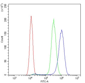 Flow cytometry testing of human SiHa cells with VISA antibody at 1ug/million cells (blocked with goat sera); Red=cells alone, Green=isotype control, Blue= VISA antibody.