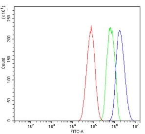 Flow cytometry testing of human HepG2 cells with Annexin VII antibody at 1ug/million cells (blocked with goat sera); Red=cells alone, Green=isotype control, Blue= Annexin VII antibody.