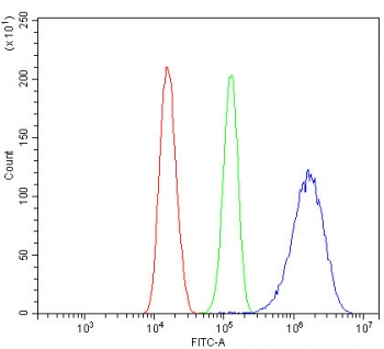 Flow cytometry testing of fixed and permeabilized human Caco-2 cells with p53 antibody at 1ug/million cells (blocked with goat sera); Red=cells alone, Green=isotype control, Blue= p53 antibody.