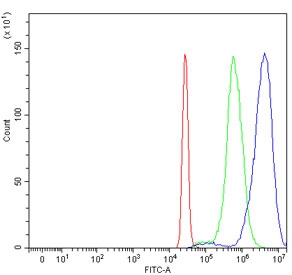BRCA1 Antibody FACS. Flow cytometry testing of human HepG2 cells with BRCA1 antibody at 1ug/million cells (blocked with goat sera); Red=cells alone, Green=isotype control, Blue= BRCA1 antibody.