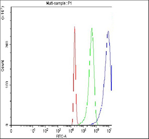 Flow cytometry testing of fixed and permeabilized human 293T cells with Annexin V antibody at 1ug/million cells (blocked with goat sera); Red=cells alone, Green=isotype control, Blue= Annexin V antibody.