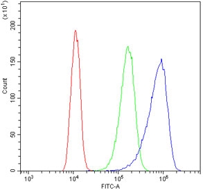 Flow cytometry testing of human A431 cells with VWF antibody at 1ug/million cells (blocked with goat sera); Red=cells alone, Green=isotype control, Blue= VWF antibody.