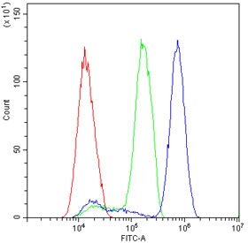 Flow cytometry testing of human SiHa cells with p27KIP1 antibody at 1ug/10^6 cells (blocked with goat sera); Red=cells alone, Green=isotype control, Blue= p27KIP1 antibody.