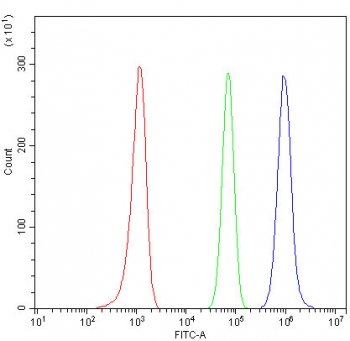 Flow cytometry testing of fixed and permeabilized human Raji cells with Beclin 1 antibody at 1ug/million cells (blocked with goat sera); Red=cells alone, Green=isotype control, Blue= Beclin 1 antibody.