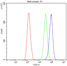 Flow cytometry testing of fixed and permeabilized human A431 cells with p63 antibody at 1ug/million cells (blocked with goat sera); Red=cells alone, Green=isotype control, Blue= p63 antibody.