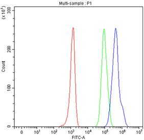 Flow cytometry testing of fixed human Raji cells with CD79b antibody at 1ug/million cells (blocked with goat sera); Red=cells alone, Green=isotype control, Blue= CD79b antibody.