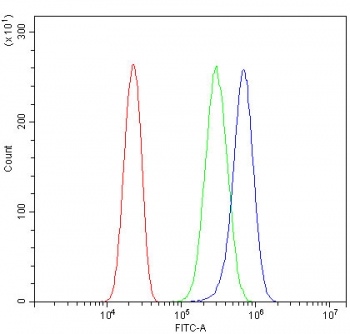 Flow cytometry testing of fixed and permeabilized human PC-3 cells with DHFR antibody at 1ug/million cells (blocked with goat sera); Red=cells alone, Green=isotype control, Blue= DHFR antibody.