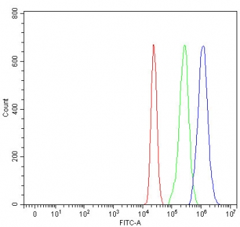 Flow cytometry testing of human MCF7 cells with FOXO3A antibody at 1ug/million cells (blocked with goat sera); Red=cells alone, Green=isotype control, Blue= FOXO3A antibody.