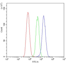 Flow cytometry testing of human U-87 MG cells with GLUR2 antibody at 1ug/million cells (blocked with goat sera); Red=cells alone, Green=isotype control, Blue= GLUR2 antibody.