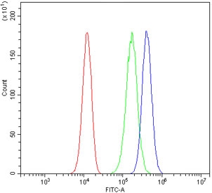 Flow cytometry testing of human 293T cells with IKKb antibody at 1ug/million cells (blocked with goat sera); Red=cells alone, Green=isotype control, Blue= IKKb antibody.