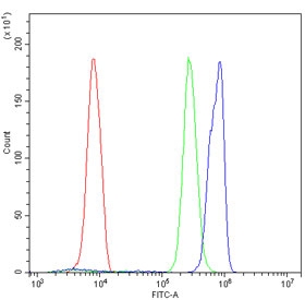 MCM7 Antibody U937 Cells FACS. Flow cytometry testing of human U937 cells with MCM7 antibody at 1ug/million cells (blocked with goat sera); Red=cells alone, Green=isotype control, Blue= MCM7 antibody.