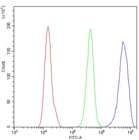 MCM7 Antibody A431 Cells FACS. Flow cytometry testing of human A431 cells with MCM7 antibody at 1ug/million cells (blocked with goat sera); Red=cells alone, Green=isotype control, Blue= MCM7 antibody.