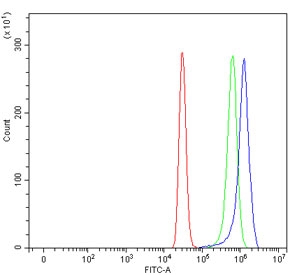 Flow cytometry testing of human HepG2 cells with ABCB4 antibody at 1ug/10^6 cells (blocked with goat sera); Red=cells alone, Green=isotype control, Blue=ABCB4 antibody.