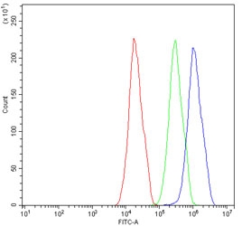 Dystrophin Antibody FACS. Flow cytometry testing of human HepG2 cells with Dystrophin antibody at 1ug/10^6 cells (blocked with goat sera); Red=cells alone, Green=isotype control, Blue= Dystrophin antibody.