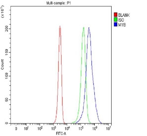 Flow cytometry testing of fixed and permeabilized human Jurkat cells with c-Myb antibody at 1ug/million cells (blocked with goat sera); Red=cells alone, Green=isotype control, Blue= c-Myb antibody.