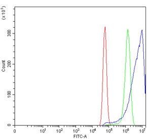 Flow cytometry testing of human U-87 MG cells with NUMB antibody at 1ug/million cells (blocked with goat sera); Red=cells alone, Green=isotype control, Blue= NUMB antibody.