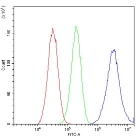 ApoE Antibody Human HepG2 FACS. Flow cytometric analysis of human HepG2 cells using ApoE antibody at 1 ug/10^6 cells following blocking with goat sera. Red: cells alone. Green: isotype control. Blue: ApoE antibody. The ApoE antibody produces a clear rightward shift in fluorescence intensity relative to the isotype control, demonstrating specific detection of this lipid transport protein involved in cholesterol homeostasis and lipoprotein metabolism.