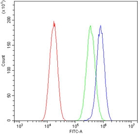 Flow cytometry testing of human A549 cells with ERAB antibody at 1ug/million cells (blocked with goat sera); Red=cells alone, Green=isotype control, Blue= ERAB antibody.