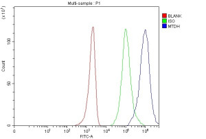 Metadherin Antibody Human Breast Cancer Cell FACS. Flow cytometry analysis of fixed and permeabilized human MCF-7 cells using Metadherin antibody demonstrated a clear rightward shift of the stained cell population (blue) relative to the isotype control (green), indicating specific intracellular detection of MTDH. Cells without primary and secondary antibodies served as the blank control (red), and cells were blocked with normal goat serum prior to staining. This Metadherin Antibody, also called an MTDH Antibody, is useful for investigating tumor progression, metastasis, oncogenic signaling, chemoresistance, and cancer biology.