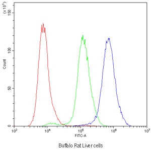 Flow cytometry testing of Buffalo rat liver (BRL 3A) cells with NTCP antibody at 1ug/10^6 cells (blocked with goat sera); Red=cells alone, Green=isotype control, Blue=NTCP antibody.
