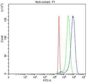 Flow cytometry testing of fixed and permeabilized human HeLa cells with ARID1A antibody at 1ug/million cells (blocked with goat sera); Red=cells alone, Green=isotype control, Blue= ARID1A antibody.