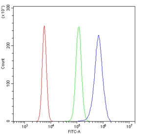 Flow cytometry testing of mouse RAW264.7 cells with OGT antibody at 1ug/million cells (blocked with goat sera); Red=cells alone, Green=isotype control, Blue= OGT antibody.