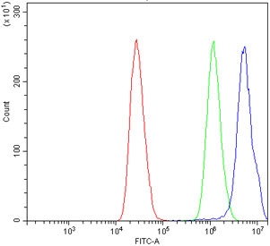 Flow cytometry testing of human MCF7 cells with Pokemon antibody at 1ug/million cells (blocked with goat sera); Red=cells alone, Green=isotype control, Blue= Pokemon antibody.