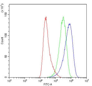 Flow cytometry testing of human HeLa cells with AIF antibody at 1ug/million cells (blocked with goat sera); Red=cells alone, Green=isotype control, Blue= AIF antibody.
