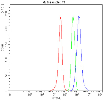 Flow cytometry analysis of fixed human SH-SY5Y cells with PIGR antibody at 1ug/million cells (blocked with goat sera); Red=cells alone, Green=isotype control, Blue= PIGR antibody.