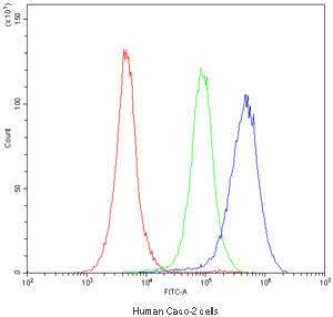 CYP1A1 Antibody Human Caco-2 Flow Cytometry. Flow cytometric analysis of human Caco-2 cells using CYP1A1 antibody demonstrated a clear rightward shift in fluorescence intensity (blue) compared with the isotype control (green) and unstained cells (red), indicating specific detection of CYP1A1 expression. CYP1A1 is a heme-containing cytochrome P450 monooxygenase that catalyzes Phase I xenobiotic metabolism and is induced through aryl hydrocarbon receptor (AHR) signaling in response to environmental toxicants. Caco-2 cells were incubated with CYP1A1 antibody at 1 ug/10^6 cells following goat serum blocking. These results support the utility of CYP1A1 Antibody for flow cytometric studies of xenobiotic metabolism, drug metabolism, AHR signaling, and environmental toxicology.