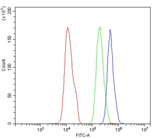 HSP90 alpha Antibody FACS. Flow cytometry analysis of human SiHa cells using HSP90 alpha Antibody / Heat Shock Protein 90 Alpha Antibody demonstrates a clear rightward shift of the antibody-stained population (blue) relative to the isotype control (green) and unstained cells (red), consistent with detection of HSP90 alpha expression. HSP90 alpha (HSP90AA1) is a highly conserved ATP-dependent molecular chaperone that regulates protein folding, stabilization of client proteins, signal transduction, and cellular stress-response pathways. As a central component of the cellular proteostasis network, HSP90 alpha supports the activity of numerous signaling and regulatory proteins involved in cellular growth, survival, and adaptation to physiological stress. Cells were stained with HSP90 alpha antibody at 1 ug/million cells following blocking with goat sera. Red = cells alone, Green = isotype control, Blue = HSP90 alpha antibody.