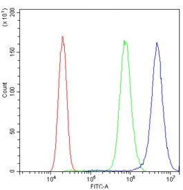 Galectin 1 Antibody PC-3 Flow Cytometry. Flow cytometry analysis of human PC-3 cells stained with Galectin 1 antibody at 1 ug/million cells demonstrates a clear rightward shift of the positive population (blue) relative to both the isotype control (green) and unstained cells (red). The observed fluorescence profile is consistent with expression of Galectin-1 (LGALS1), a beta-galactoside-binding lectin involved in immune regulation, cell adhesion, apoptosis, angiogenesis, and glycan-mediated signaling pathways. The distinct separation between antibody-stained and control populations supports specific detection of endogenous Galectin-1 and demonstrates the utility of this antibody for flow cytometric analysis of LGALS1 expression. Cells were blocked with goat sera prior to staining.