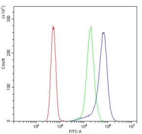 Flow cytometry testing of fixed human K562 cells with HSC70 antibody at 1ug/million cells (blocked with goat sera); Red=cells alone, Green=isotype control, Blue= HSC70 antibody.