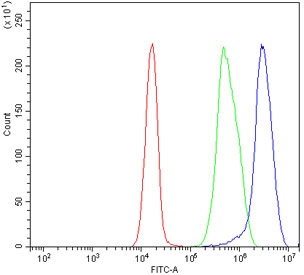Flow cytometry testing of human Jurkat cells with RALB antibody at 1ug/million cells (blocked with goat sera); Red=cells alone, Green=isotype control, Blue= RALB antibody.