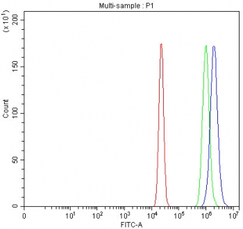 Ku70 Antibody A431 FACS. Flow cytometry analysis of fixed and permeabilized human A431 cells stained with Ku70 Antibody demonstrates a pronounced right-shifted fluorescence population relative to the isotype control, consistent with intracellular XRCC6 / Ku70 expression associated with DNA damage response and double-strand break repair pathways. This DNA end binding protein antibody supports characterization of non-homologous end joining-associated genomic maintenance signaling in epithelial-derived tumor cells. Red=cells alone, Green=isotype control, Blue=Ku70 antibody.