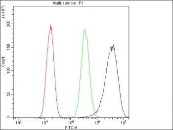 Flow cytometry testing of human A549 cells with Ribonuclease Inhibitor antibody at 1ug/million cells (blocked with goat sera); Red=cells alone, Green=isotype control, Blue= Ribonuclease Inhibitor antibody.