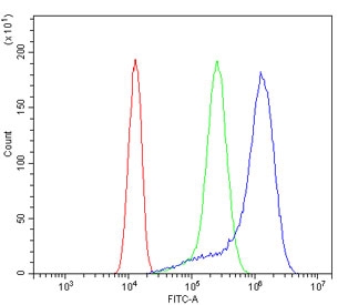 Kv1.2 Antibody A431 Cell FACS. Flow cytometry testing of human A431 cells with Kv1.2 antibody at 1ug/million cells (blocked with goat sera); Red=cells alone, Green=isotype control, Blue= Kv1.2 antibody.