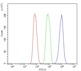 Kv1.2 Antibody Rat C6 Cell FACS. Flow cytometry testing of rat C6 cells with Kv1.2 antibody at 1ug/million cells (blocked with goat sera); Red=cells alone, Green=isotype control, Blue= Kv1.2 antibody.